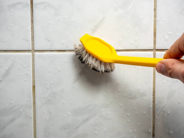 Professional Mold Removal in Faison, NC