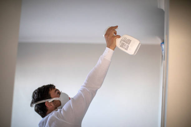 Best Emergency Mold Removal  in Faison, NC