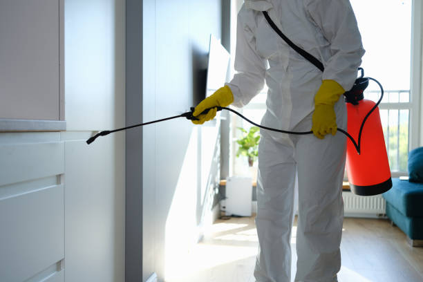 Best Mold Damage Repair  in Faison, NC